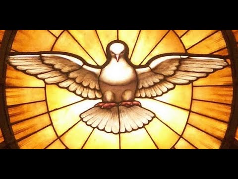 Oh Deja Que El Señor Te Envuelva - Nueva Vida…