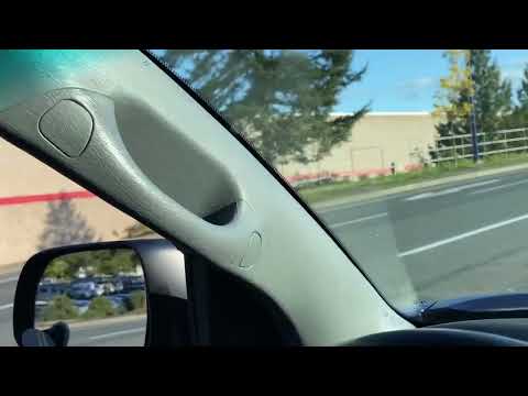 Bear around Victoria Costco