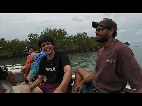 SPEAR FISHING - First vid! Spent the day sweeping the mangroves floors.