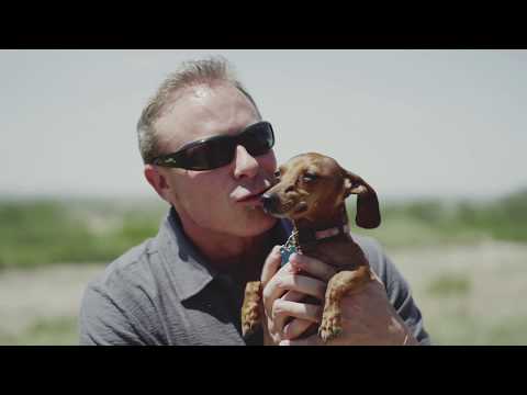 Why choose CANIDAE Pet Foods?