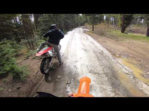 KTM 150 XCW TPI Riding in the Woods