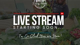 Vego Garden $300 Gift Card Giveaway