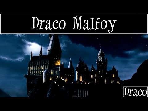 Draco Malfoy - Harry Potter Song [On Screen Lyrics]