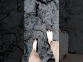 Barefoot Walking In Thick Deep Mud