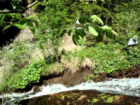 Cascada Pisoiul, Bistra Mureşului.MPG