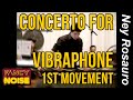 Ney Rosauro - Concerto for Vibraphone (1st Movement)