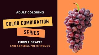 COLOR COMBINATION SERIES: PURPLE GRAPES- Faber-Castell polychromos - Adult coloring