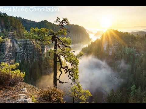 New Tires   Silent Partner No Copyright Music