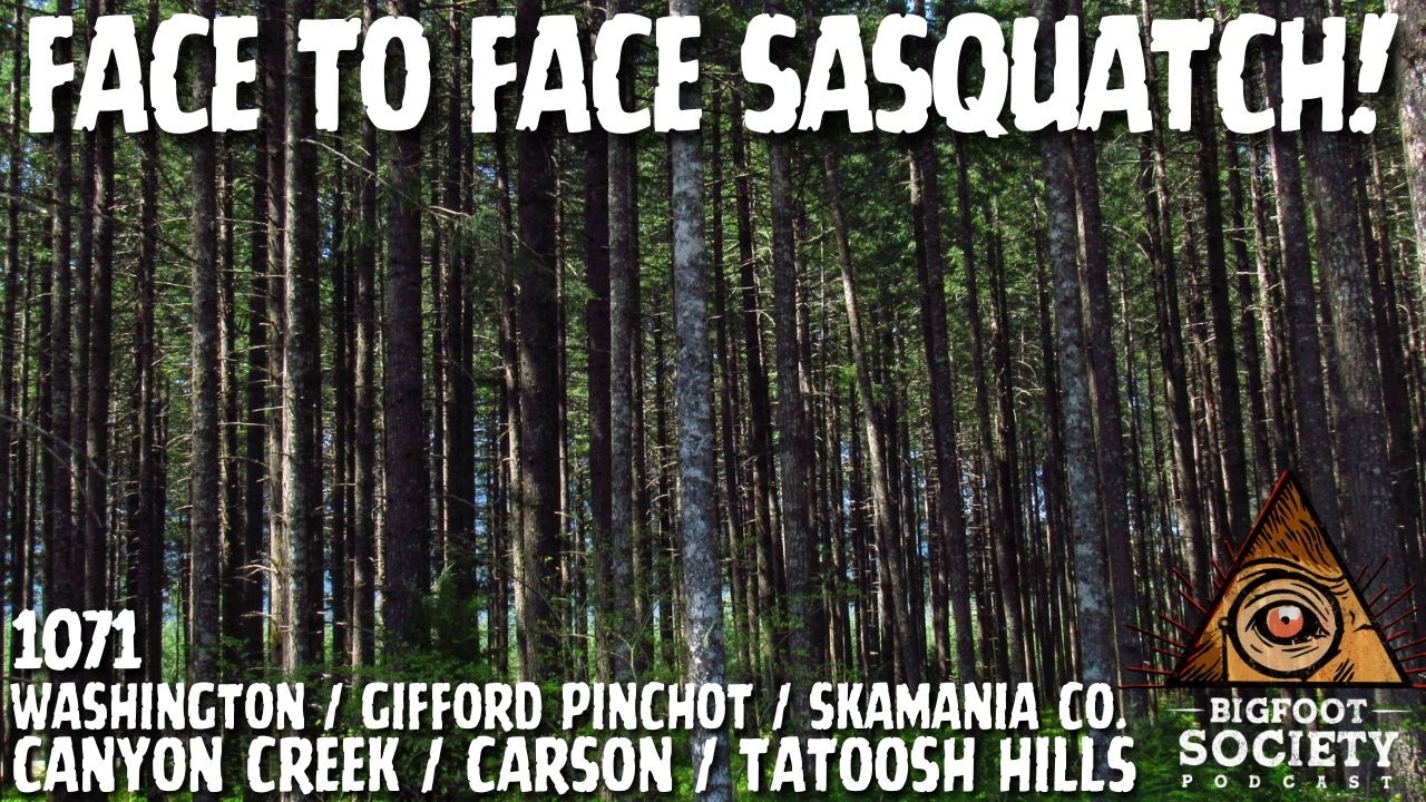 A Retired Military Veteran Shares His Face-to-Face Sasquatch Encounter in Gifford Pinchot National Forest