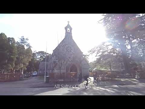 Philippa Sole, Area Guide — Branksome Park