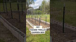 We built the first garden bed for our vegetable garden 🥹 #diygarden #beginnergardener