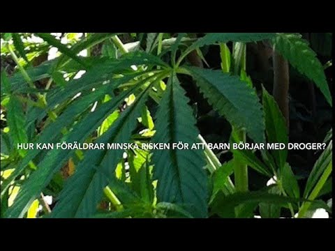 Hur kan föräldrar minska risken för att barn börjar med droger?
