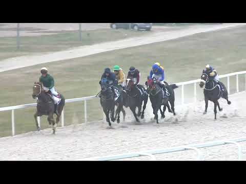 2021.11.14. 07. futam - LÓVERSENYZÉST FELÜGYELŐ BIZOTTSÁG DÍJA (I.kat.) (szintetikus pálya)