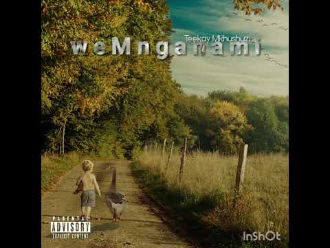 TeeKay Mkhushuzi-weMnganami