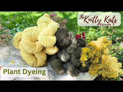 Plant Dyeing..Naturally!  Episode 5