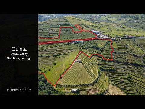Quinta Vinícola à venda no Douro Valley em Cambres, Lamego, Portugal