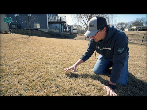 How I'm Preparing For Spring Lawn Care