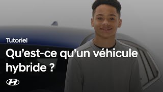 Miniature de la vidéo