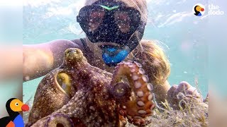 Woman And Octopus Are Best Friends - ELORA &amp; EGBERT | The Dodo
