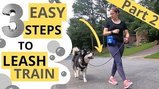 Loose Leash Walking: Adding Duration (2/3)