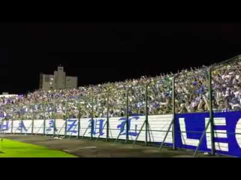 Torcida do Avaí dando show no Scarpelli