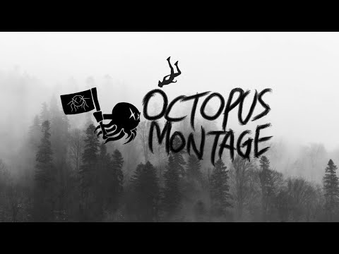 Octopus Montage - Voices [OFFICIAL MUSIC VIDEO]