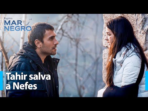 Tahir saves Nefes from Vedat's kidnapping 💖 - Black Sea | Special Scenes