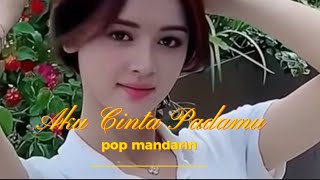 Download lagu Aku Cinta Padamu Mandarin Pop mp3