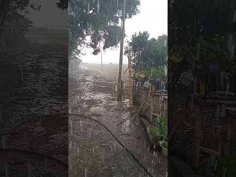 Lluvias en Rioja - San Martín