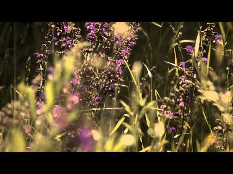 NAPOVEDNIK: KATRCA - ZAKAJ TAJIŠ