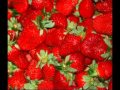 MODA' - TAPPETO DI FRAGOLE (PAROLE) 