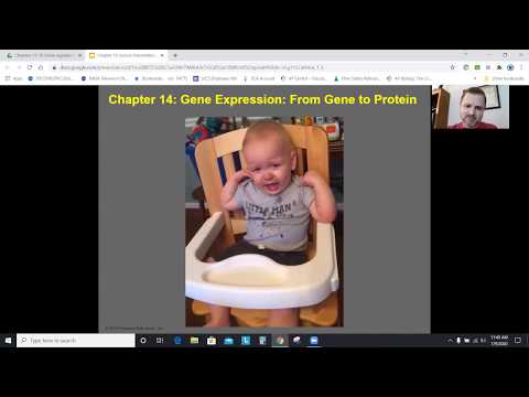 AP Biology Chapter 14: Gene Expression: From Gene to Protein