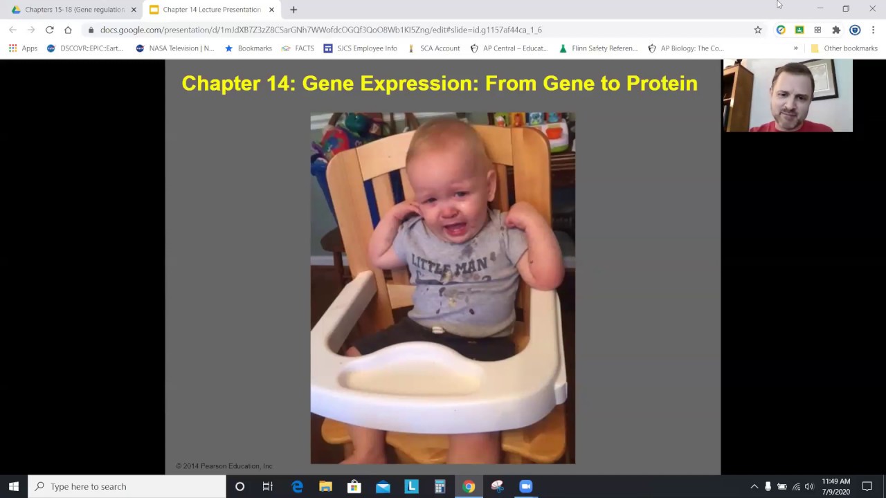 AP Biology Chapter 14: Gene Expression: From Gene to Protein