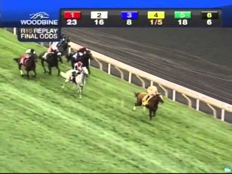 2013 Woodbine Mile - Wise Dan