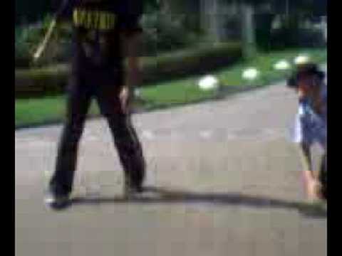 dorpsmeloten in zwartewaal