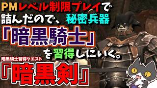 【⚔轟くFF11】暗黒騎士習得クエスト「暗黒剣」【復帰プレイ#315】