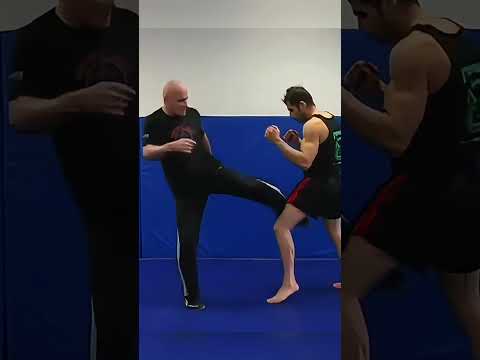 Make Your Legs ANTI Low KICK  #mma #tips