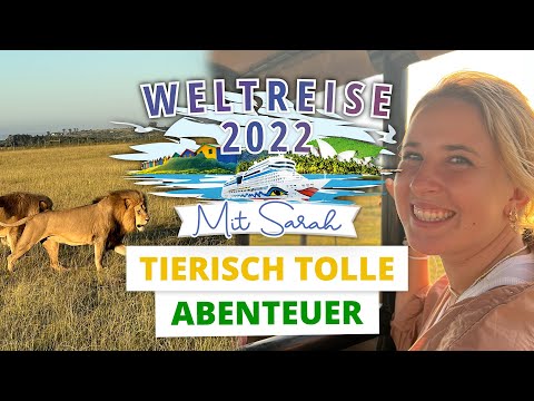 Vlog Nr. 15 | Weltreise AIDAmar