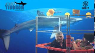 DIA 2 Expo Tiburon254