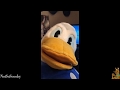 TikTok Funny Donald Duck Memes