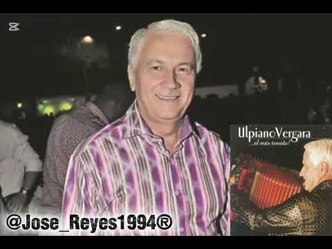 Por La Ausencia De Tus Besos En Vivo - Ulpiano Vergara & Los Distinguidos 🇵🇦
