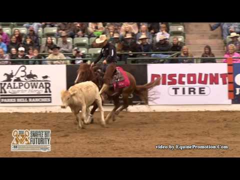Duals Lucky Charm and Kelby Phillips – 2016 NRCHA Snaffle Bit Futurity Open Champions
