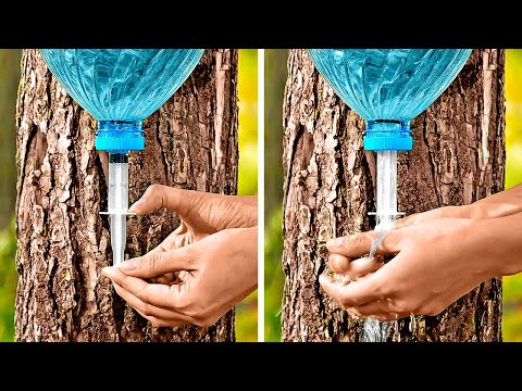 Simple And Useful Life Hacks For Any Camping Trip