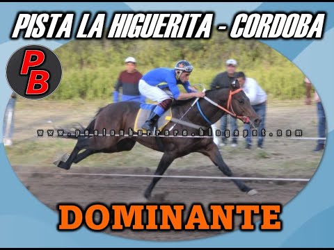 DOMINANTE, PISTA LA HIGUERITA (01-05-2022)