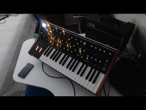 Space Harp Del Mar - Energy 52 Ibiza