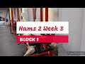 DVTV: Block 1 Hams 2 Wk 3