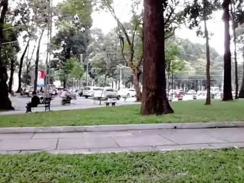 Tôi sẽ vẽ - Trịnh Nam Sơn