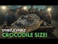 Lolong The Giant Crocodile S Unbelievable Capture