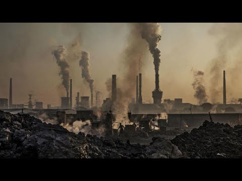 C'è così tanta C02 nell'atmosfera che piantare nuovi alberi non potrà più salvarci