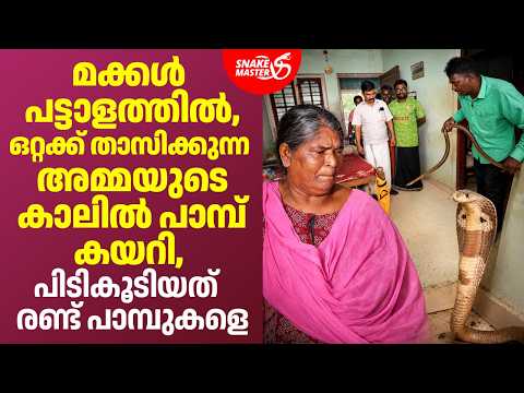 ഒറ്റക്ക് താസിക്കുന്ന അമ്മയുടെ കാലിൽ പാമ്പ് കയറി | Cobra Rescue by Vava Suresh | Snakemaster EP 1206
